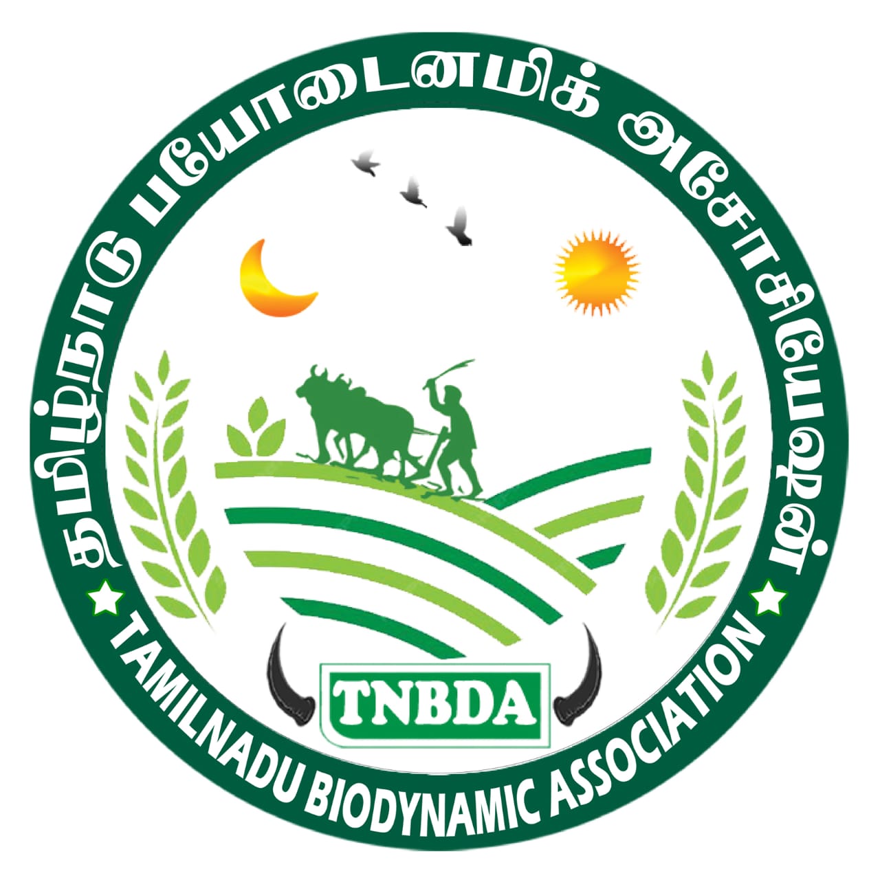 TNBDA Logo
